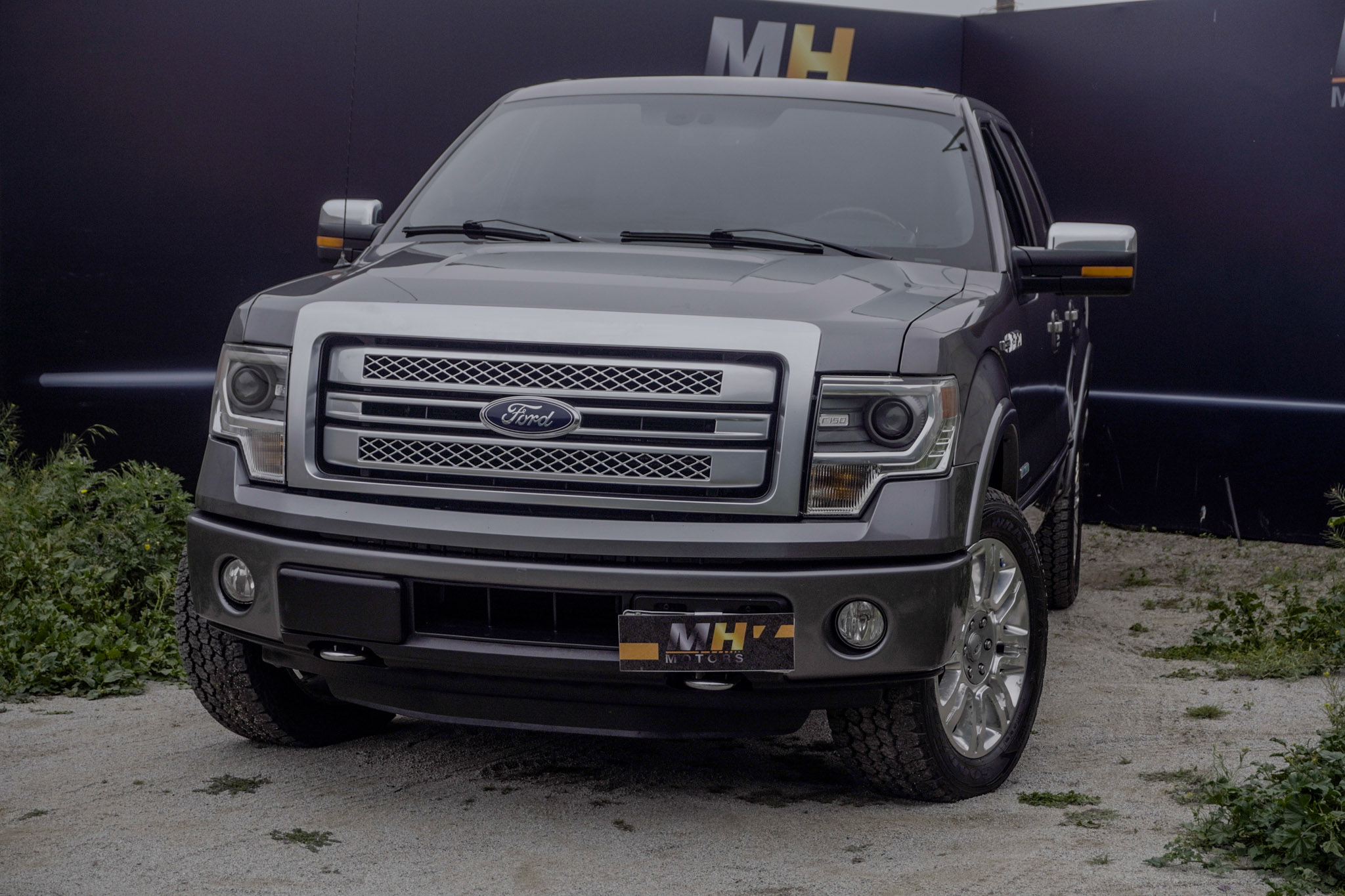 FORD F150  2015